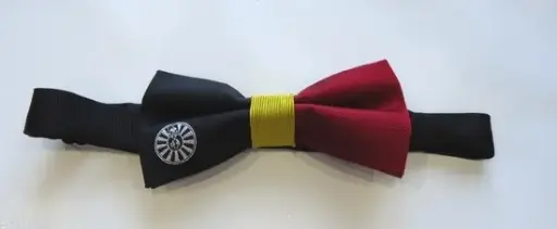 Bow tie 